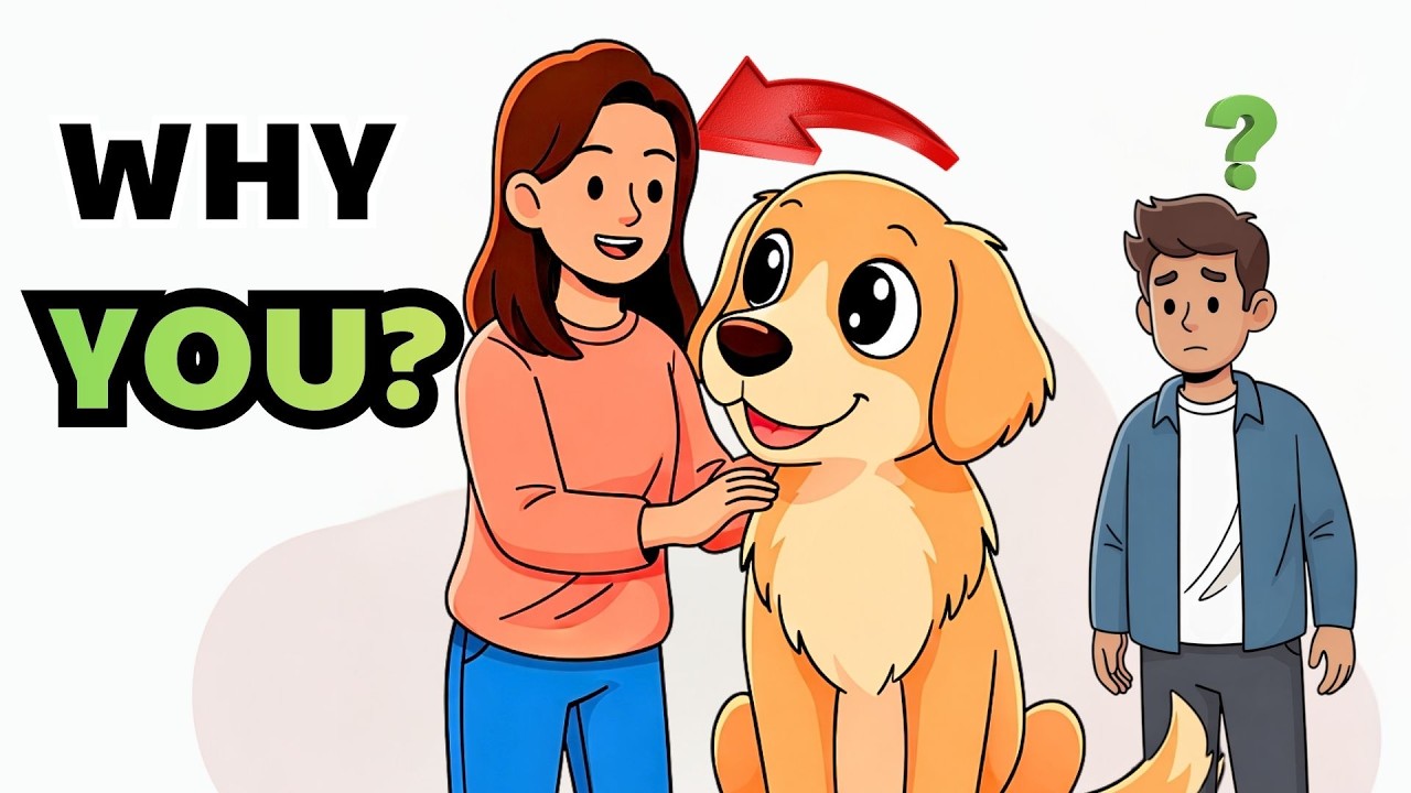 Why Dogs Choose a Favorite Person (The Real Reason)