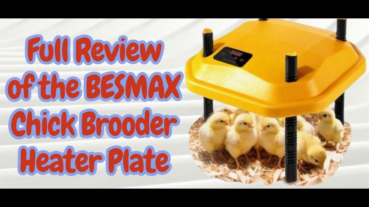 🐣 Adjustable Chick Brooder Heater Plate🔥Temp Display &bull; Cozy Heat for Baby Chicks, Quail & Ducklings🐥