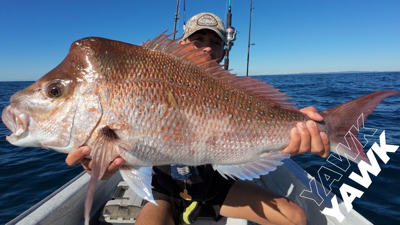 We Took a 14ft Boat Offshore and Caught a TON of Big Fish