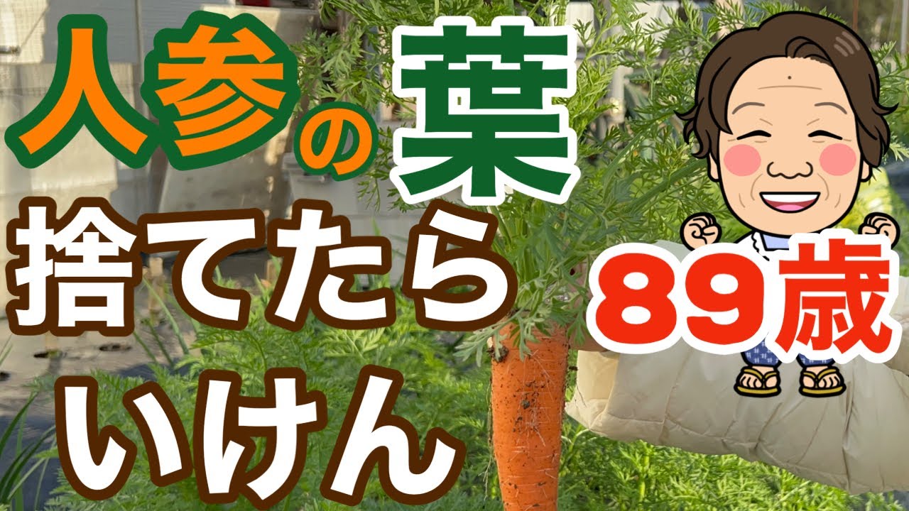 【89歳健康なお婆ちゃんの暮らしの日常】皆が知らない人参の葉っぱの栄養！こりゃすごか～捨てちゃいけん…葉っぱは凄い！みんなが知らんだけたい！