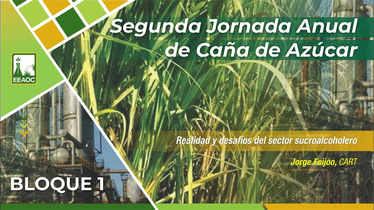 04. Realidad y desafíos del sector sucroalcoholero. Jorge Feijóo