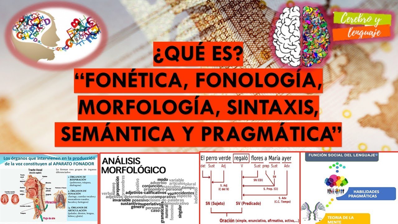 ¿Qué es? Fonética, Fonología, Morfología, Sintaxis, Semántica, Pragmática. Temas sobre lenguaje.