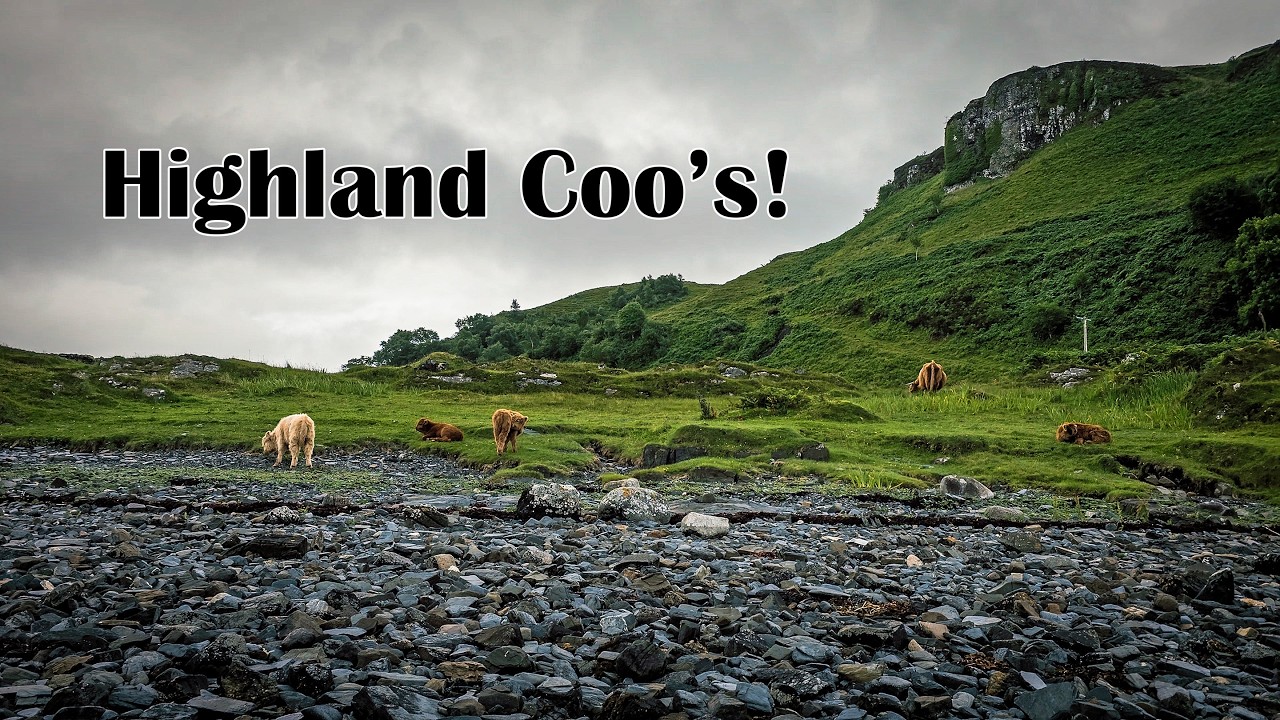 Sailing Scotland: Oban to Ardminish Bay | Sailing Through Fog