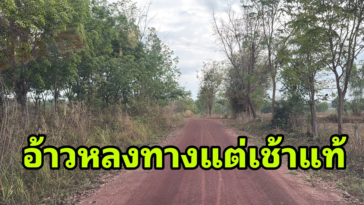 เจอแบบนี้แต่เช้าเลยครับ#อุ๋งอิ๋งเพชรบ้านแพง 