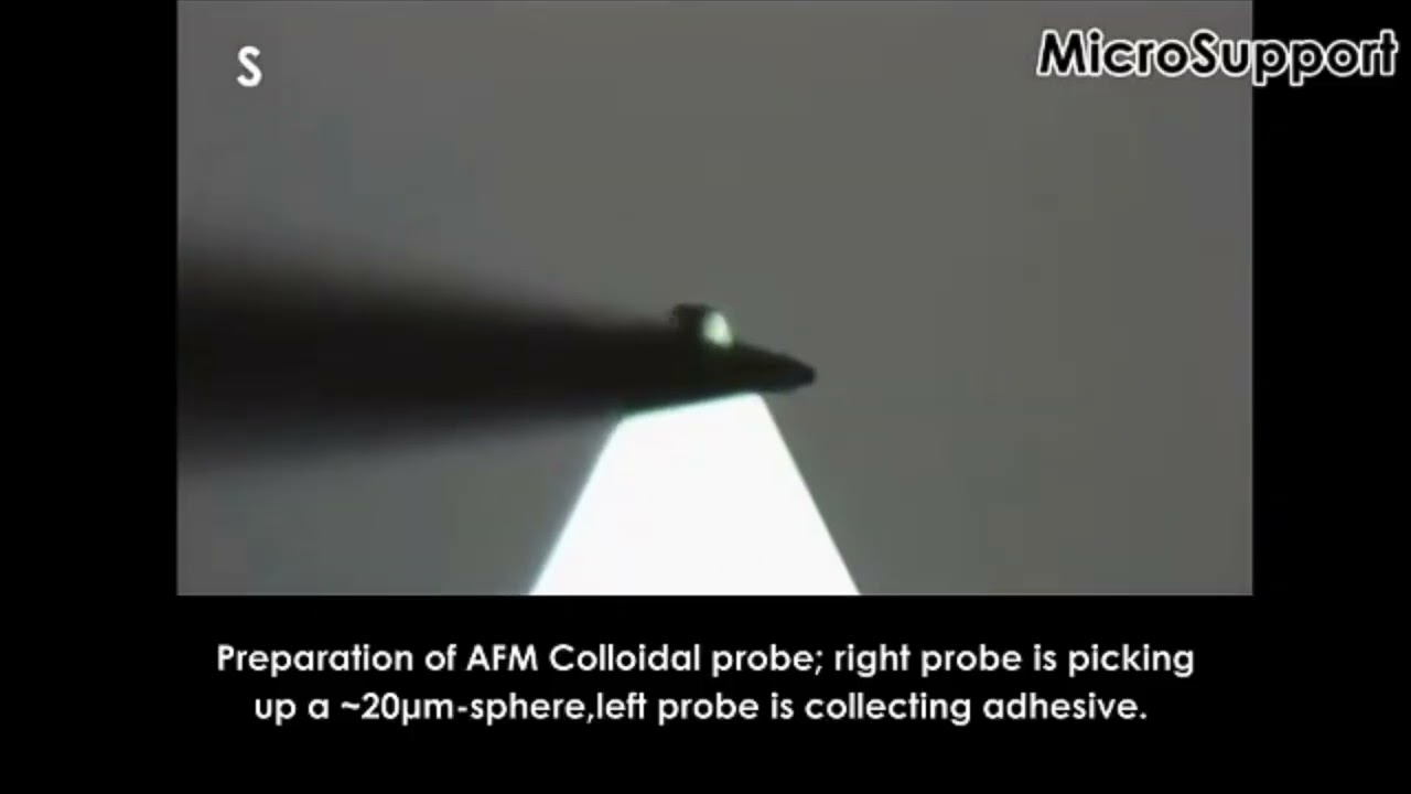 Make colloidal AFM probes using MicroSupport's Axis Pro SS Manipulator