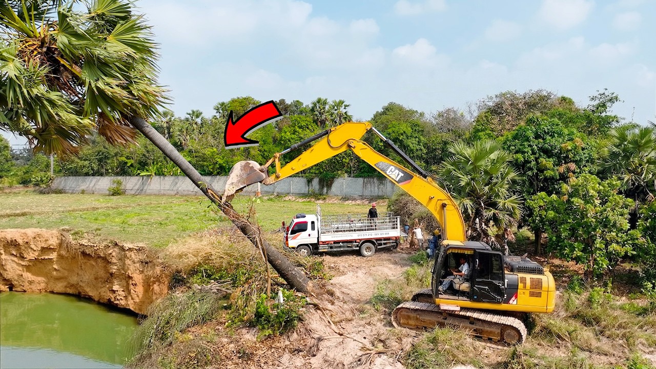Wonderful Landfill Project! Use Skill Dozer D20A And Excavator Clearing Land for Build Warehouse