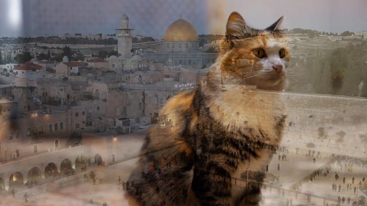 Avihu Medina - Shabechi Yerushalayim - (Lealiza Dance Cover) Remastered