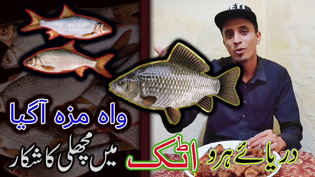 Fishing in Haro River Attock  |  Fish Hunting in Pakistan  |   Best Fishing Video  |  Aqeel360 Vlog