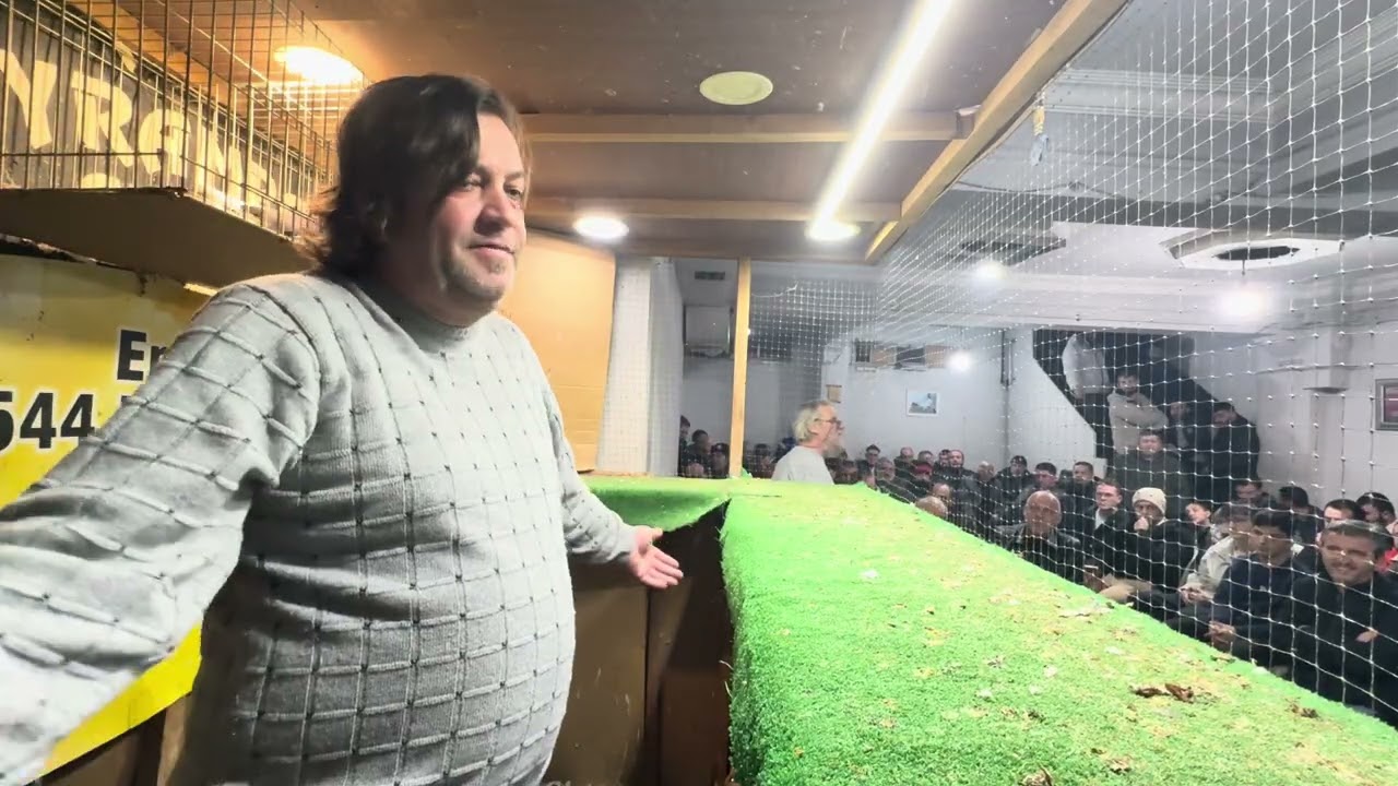 GÜVERCİN MEZATI BAYRAMPAŞA ARENA İYİ SEYİRLER DOSTALAR