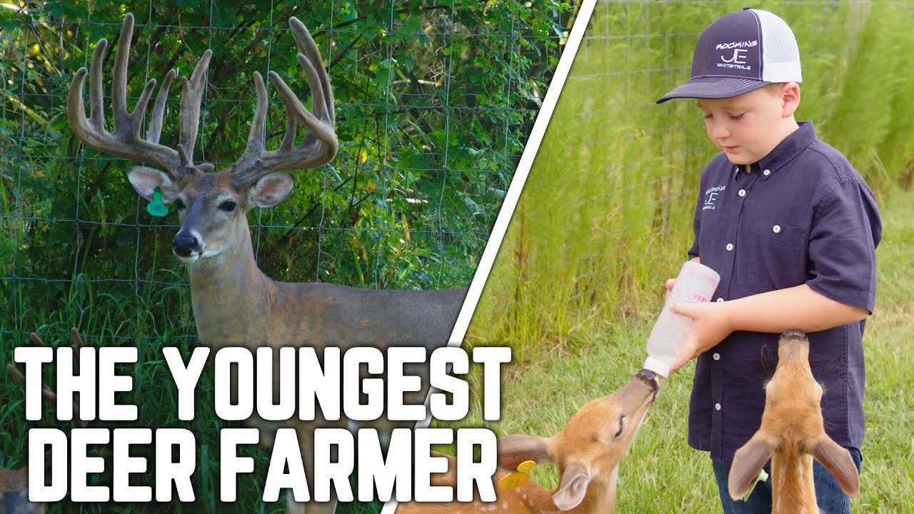 Is this the world's youngest deer farmer?? | Florida Deer Farms