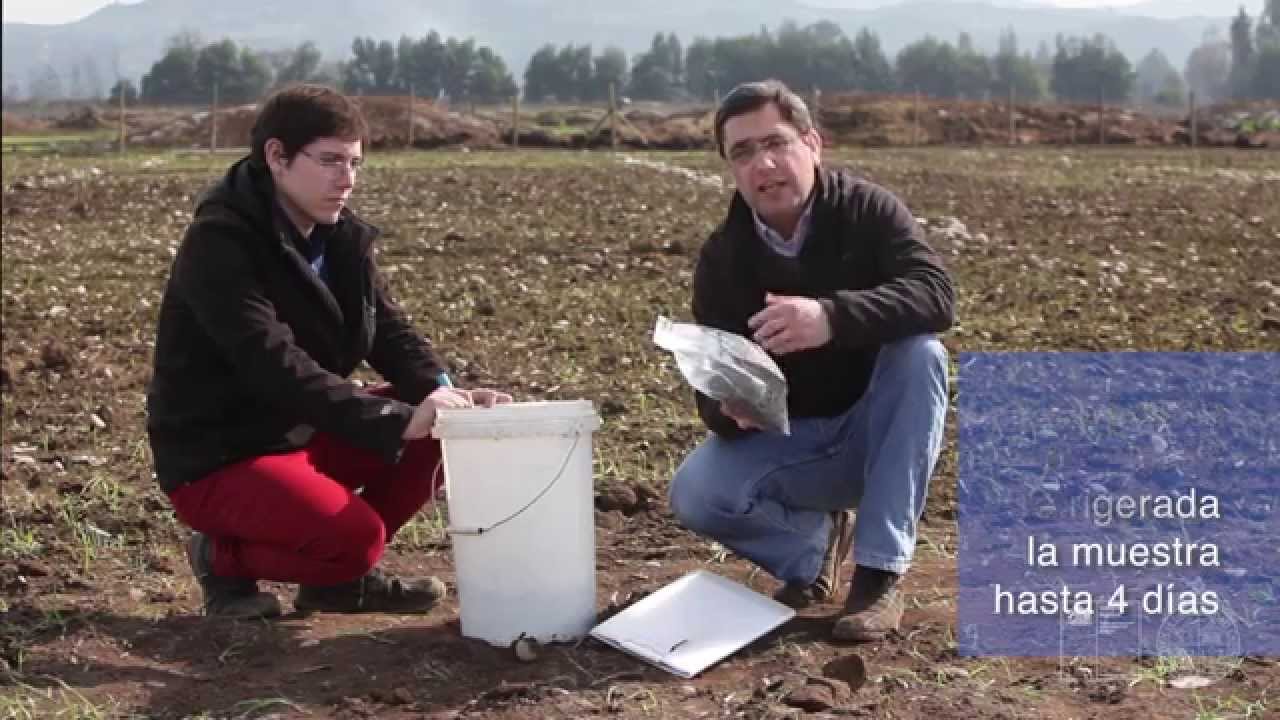Video Muestreo Suelo