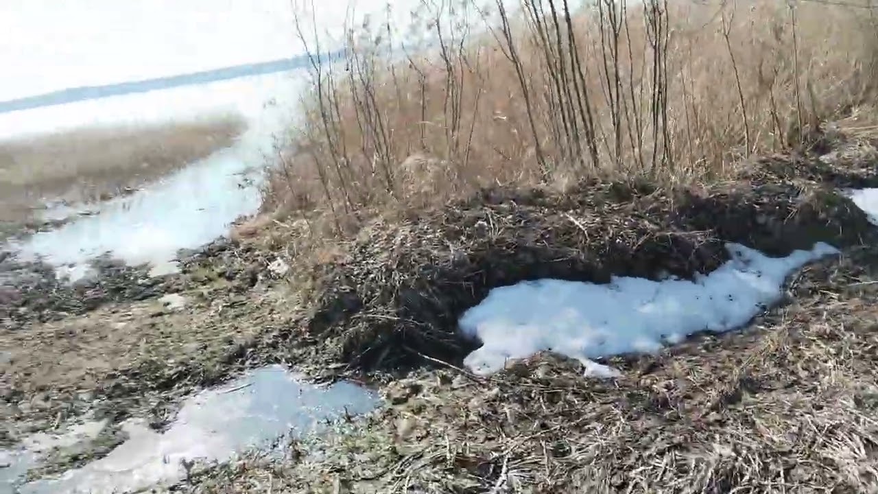 13 марта 2026 г.