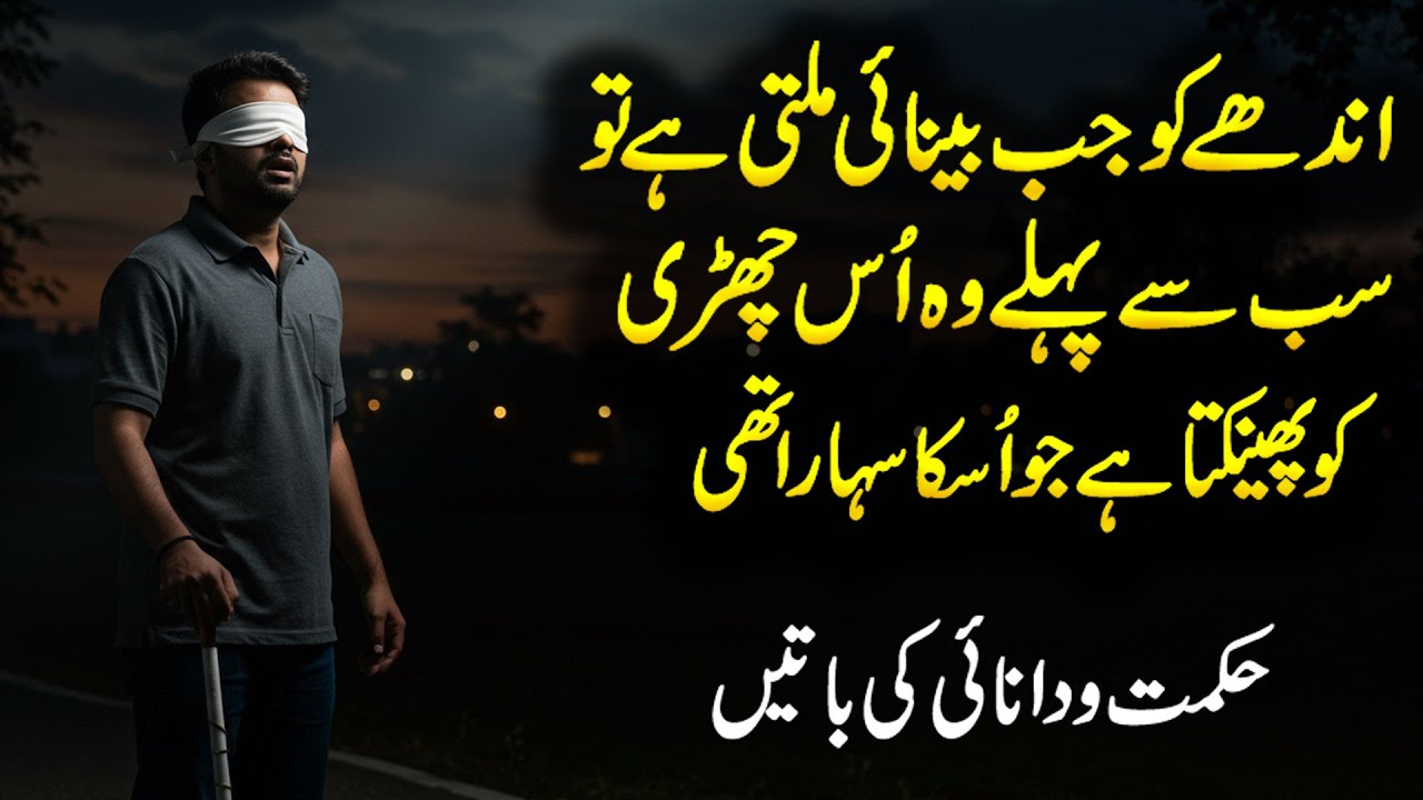 When Sight Returns The Stick Falls | Motivational Quotes | Life Changing Quotes | Zubair Maqsood