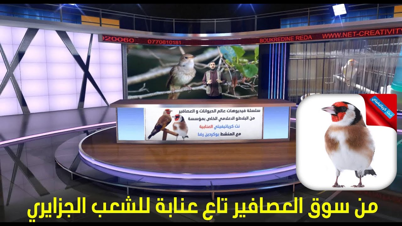 من سوق عصافير عنابة الى الشعب الجزائري مع الصحافي اخوكم بوكردين رضا