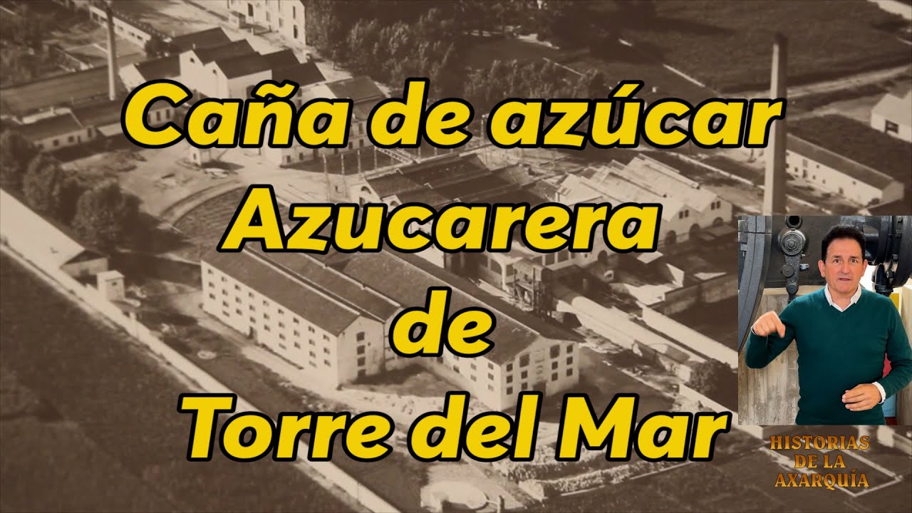 Caña de azúcar - Azucarera de Torre del Mar