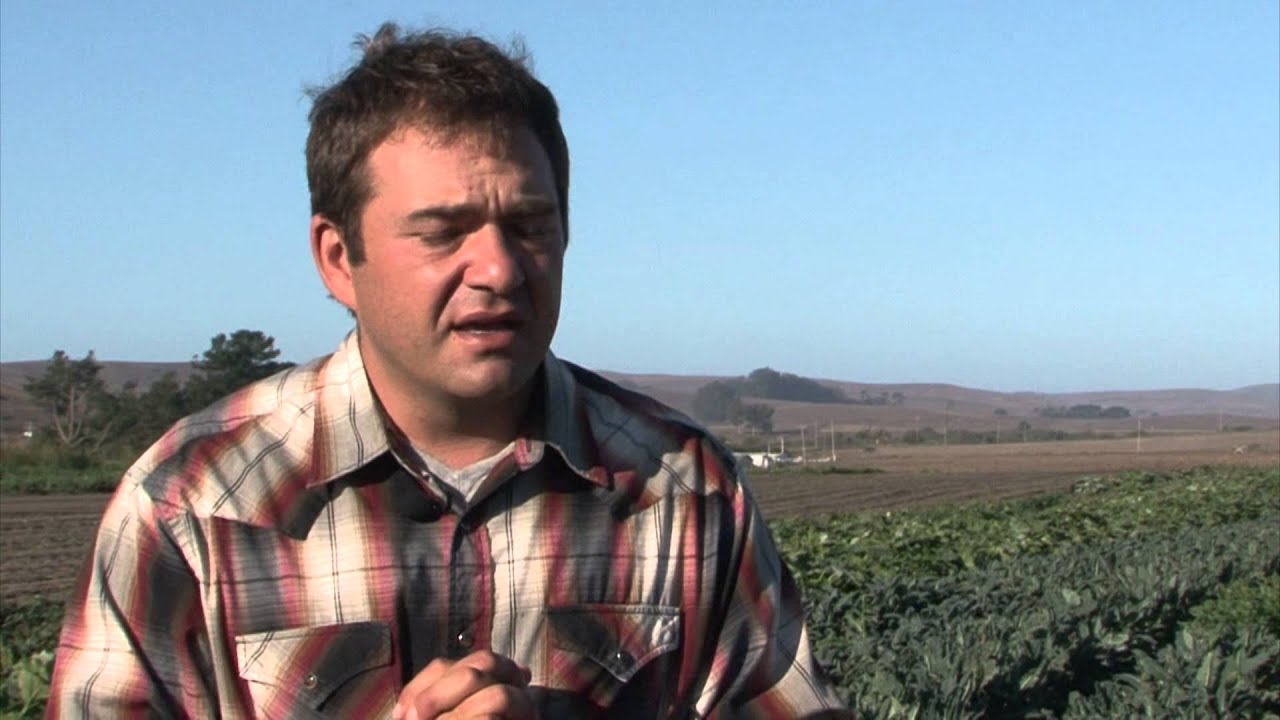 What is a Food System?