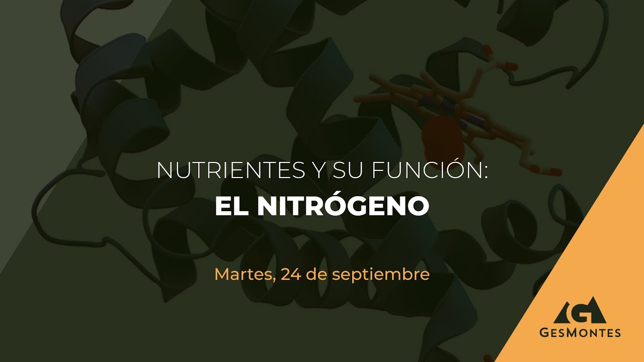 NUTRIENTES Y SU FUNCIÓN: EL NITRÓGENO