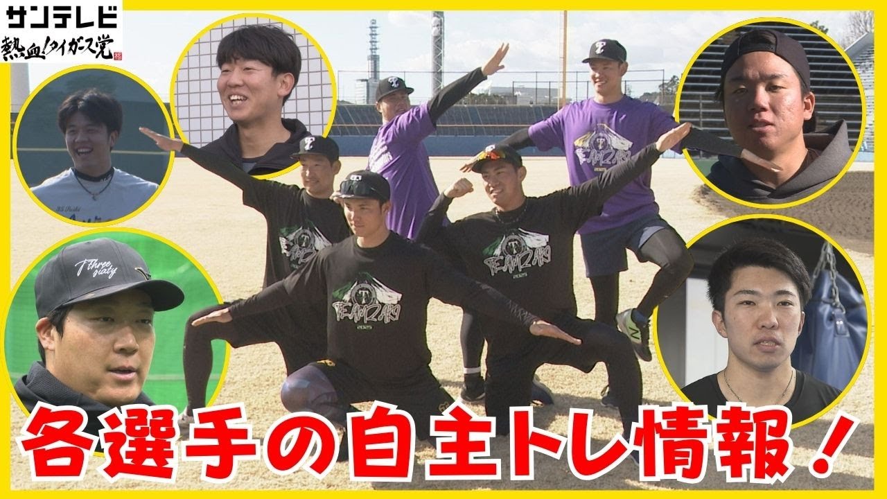 【虎戦士自主トレも佳境に！仕上がりはいかに！？】キャンプに向けて熱の入る自主トレの模様をダイジェストでお届け！#熱血タイガース党
