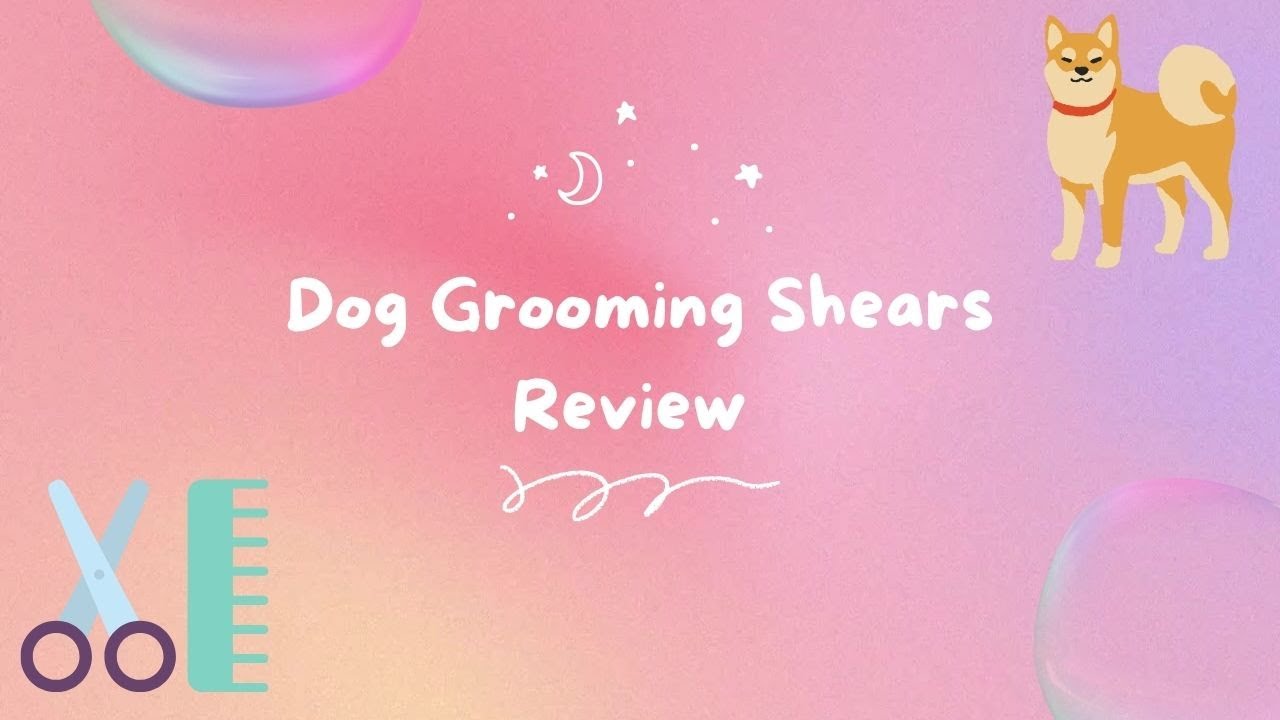 Professional Dog Grooming Shears 🐩 Beginner's Guide