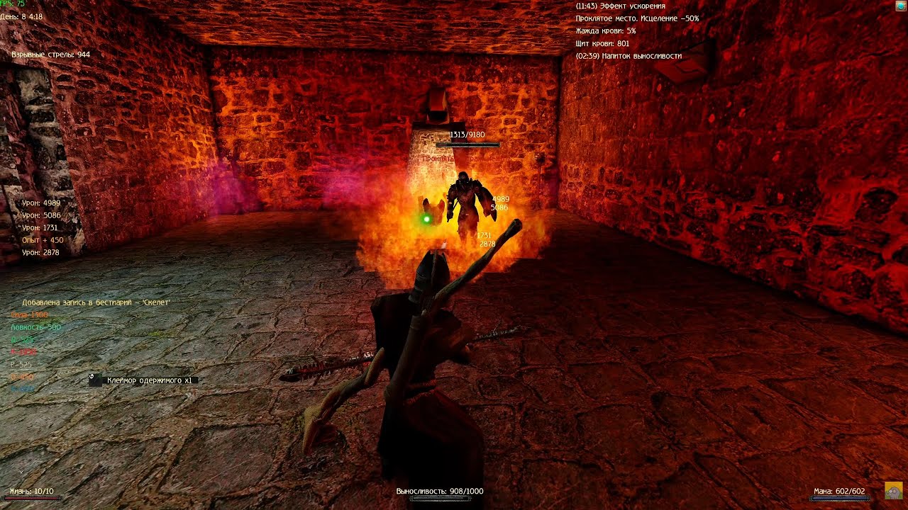 Gothic 2 New Balance New Karma Vampire Mage Bow Apostate