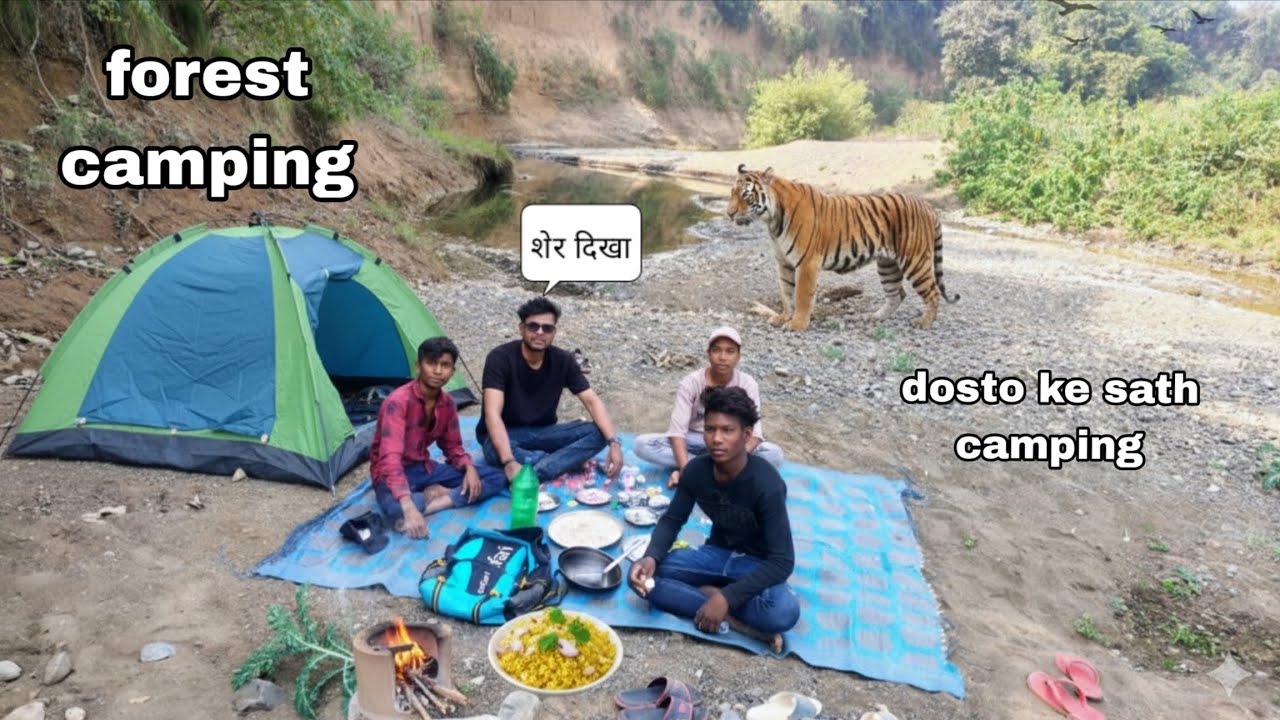 जंगल मेंशेर दिखा 😱😭 forest blog vlog