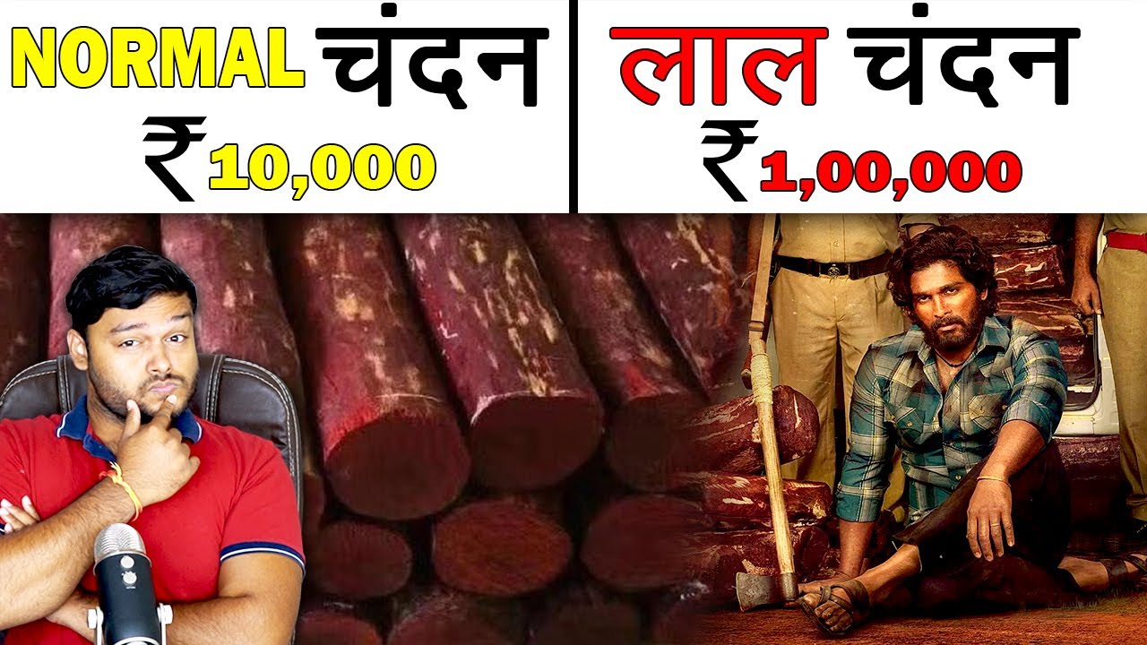 पुष्पा का लाल चन्दन क्यों है खास , vs Normal चन्दन - Pushpa Movie's Facts & Other Facts - FactTechz
