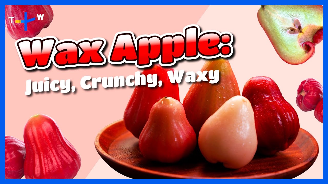Biting into Taiwan's Wax Apple: A Juicy and Crunchy Adventure｜Jason's Table: Fruit Lab
