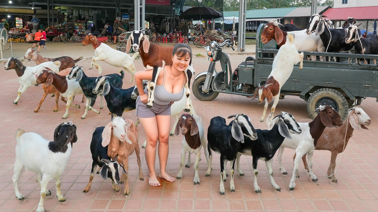 TIMELAPSE -- 456 Days Of Raising And Catching Goats To Sell To People In The Countryside