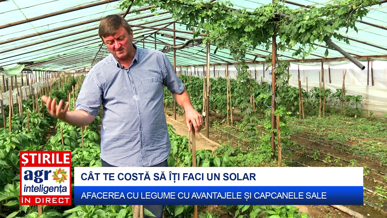 Cât costă să îți faci un solar de legume