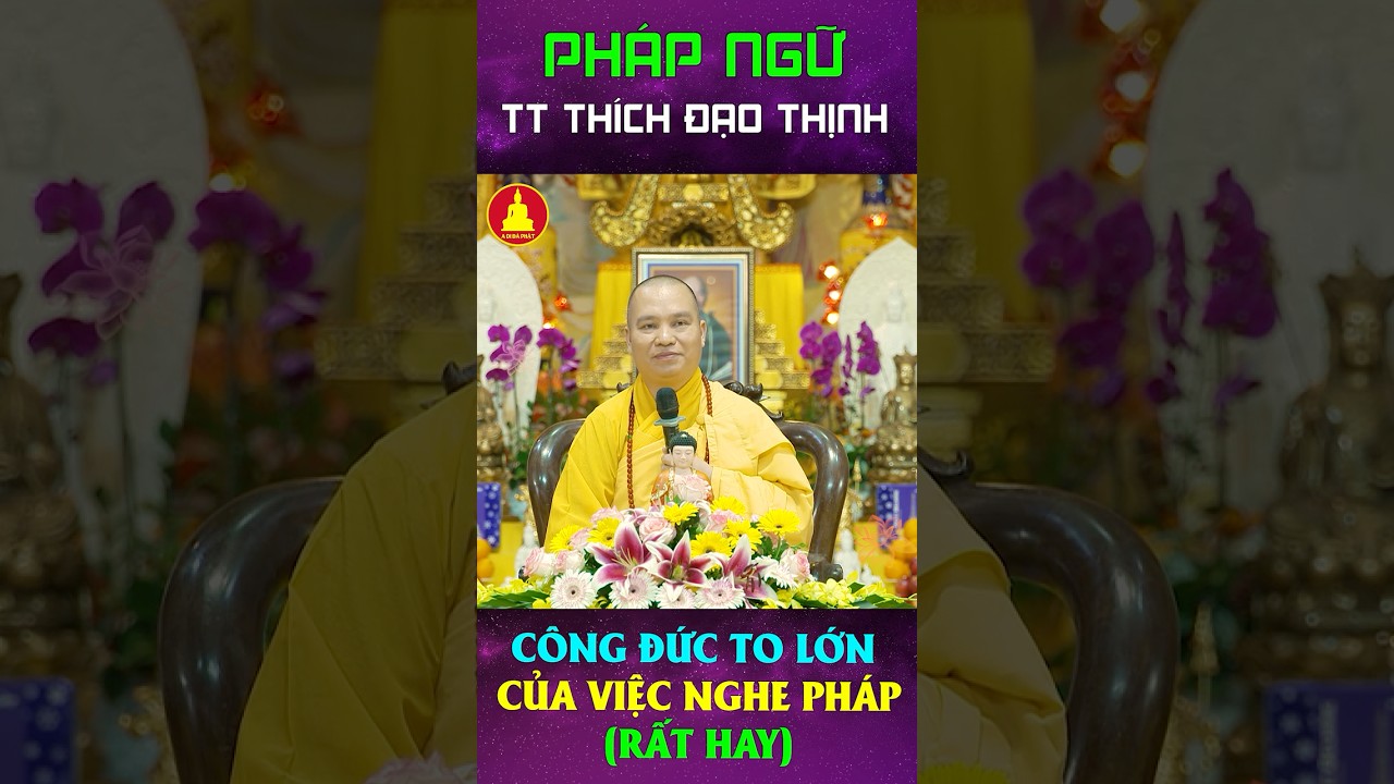 C&ocirc;ng đức lớn khi nghe Ph&aacute;p mỗi ng&agrave;y┃Thầy Th&iacute;ch Đạo Thịnh #shorts