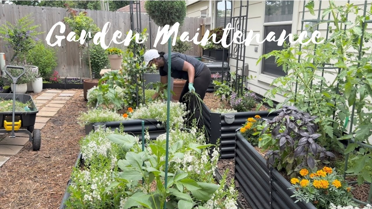 Full day of Gardening |Weeding| Planting|Harvesting
