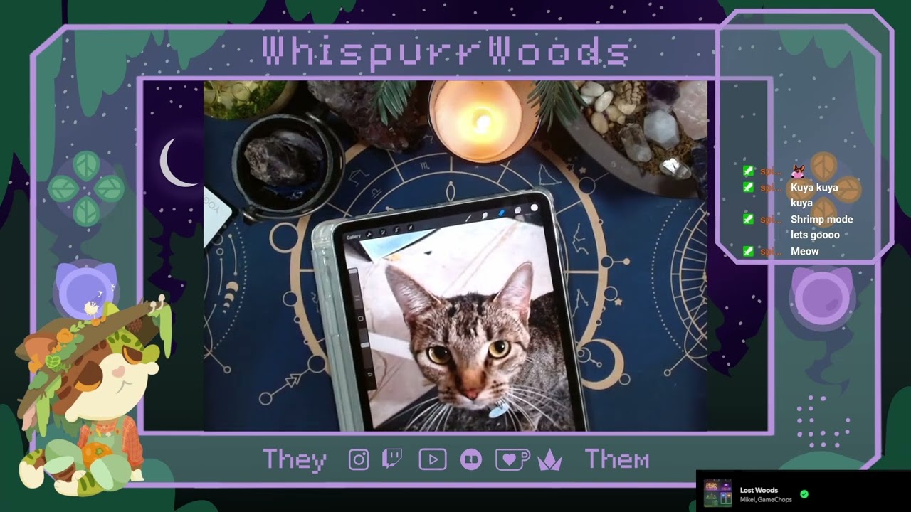 Pet Ornaments and Cat Conversation