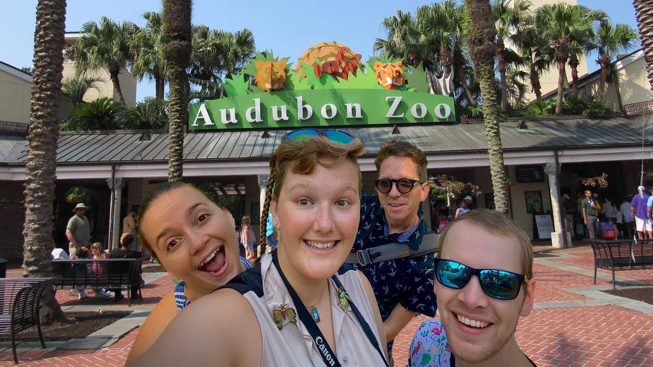 The Audubon Zoo in New Orleans! A full day of Zoo, Insectarium, and Aquarium!