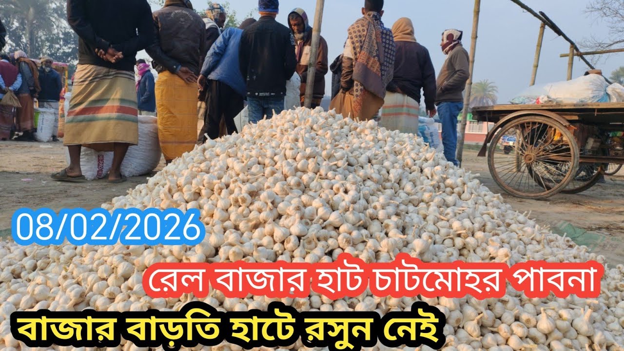 8 February 2026 আজকের রসুনের বাজার দর। রেলবাজার হাট চাটমোহর পাবনা থেকে। Garlic market price rate 