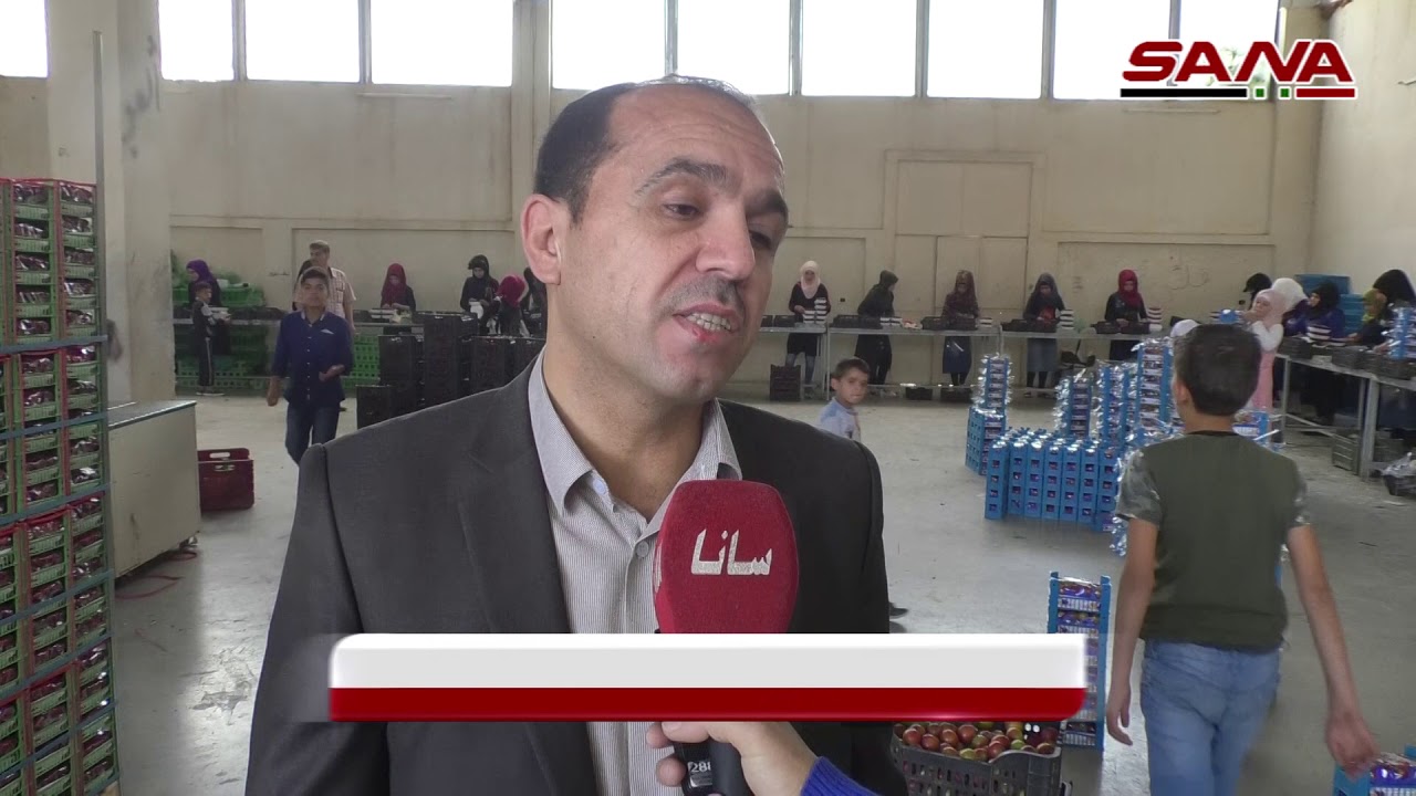 شركات توضيب وتصدير الفواكه والخضار.. ترويج للمنتجات الزراعية في الخارج