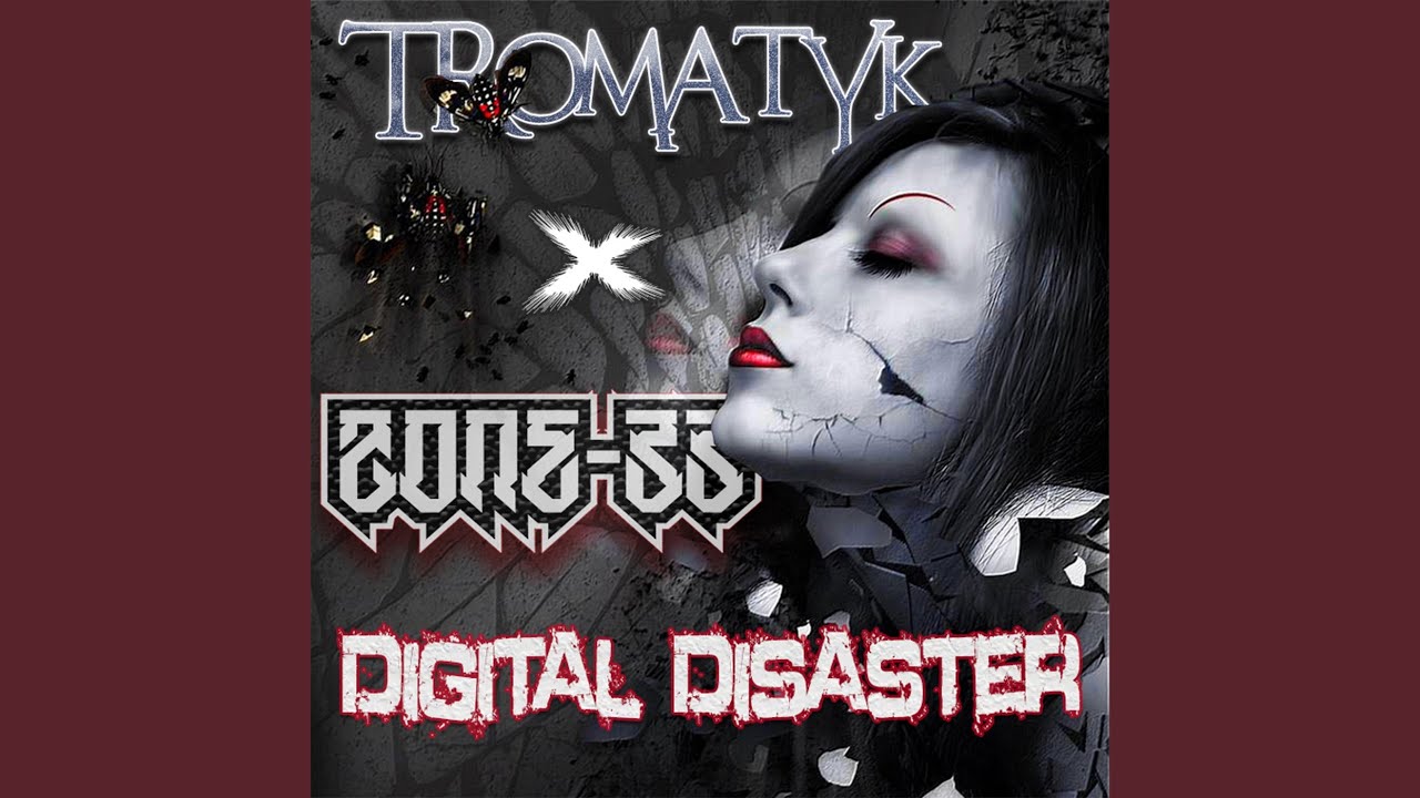 Digital Disaster