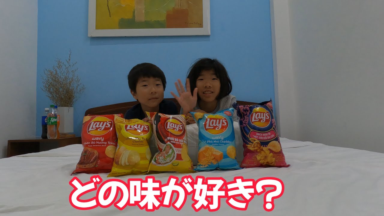 【ポテトチップス】種類がたくさんある海外のポテチLaysやばい味があった