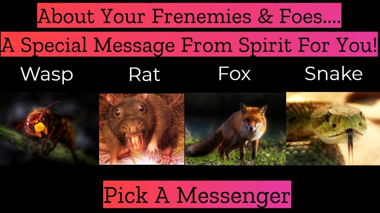 🐍Pick A Messenger🐍 A Message From Spirit About Your Frenemies & Foes!