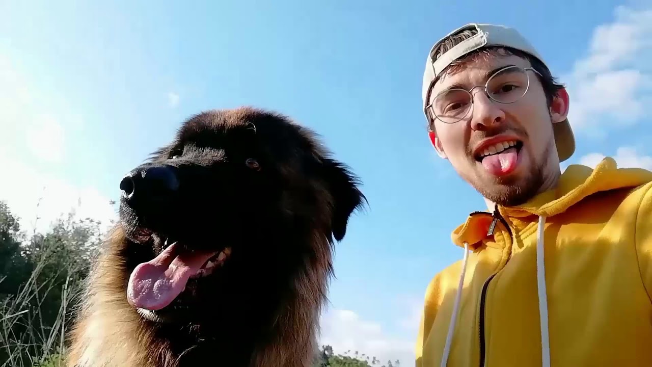 Volunteer life at ARA - Animal Rescue Algarve, Portugal