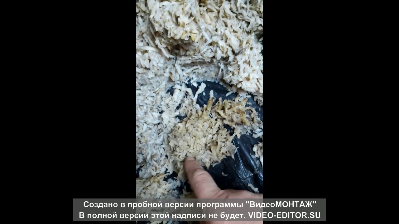 свекольный жом хранение