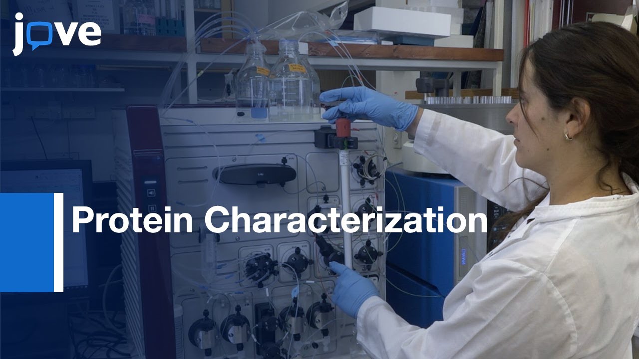 SEC-MALS for Protein Characterization | Protocol Preview