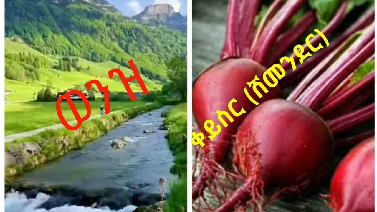 📌በህልም #ደረቅ_ወንዝ #ቀይስር #አዞ  #ሳንቡሳ እና ሌሎችም #የበርካታ ህልሞች ፍቺ✍️