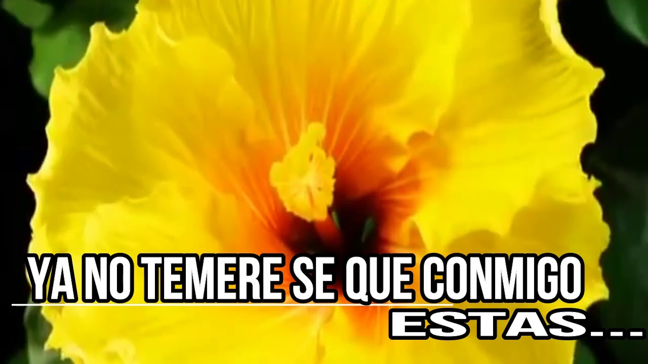 A FIRMEMOS LA FE  Nataly G.