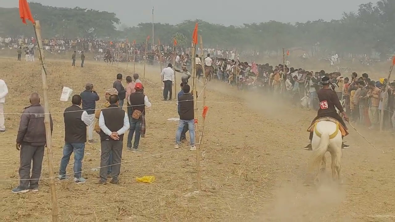 Govind sahab race ki video ghoda udan 