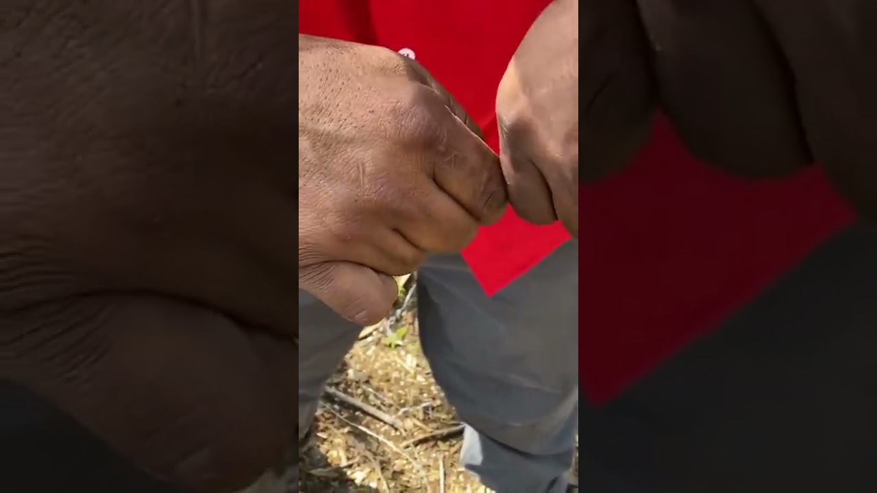 Como unir dos alambres de Aluminio Forceflex correctamente!