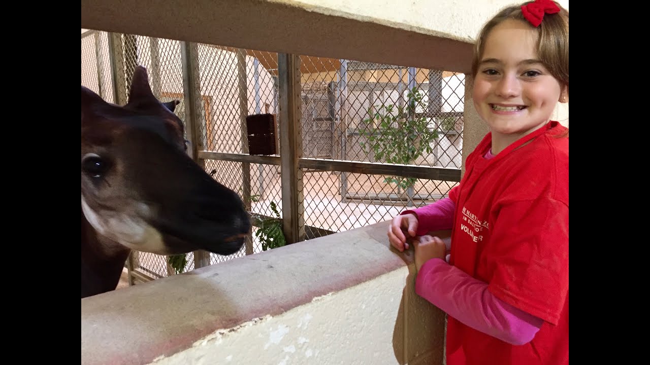 Susanna's wish to be... a zookeeper!