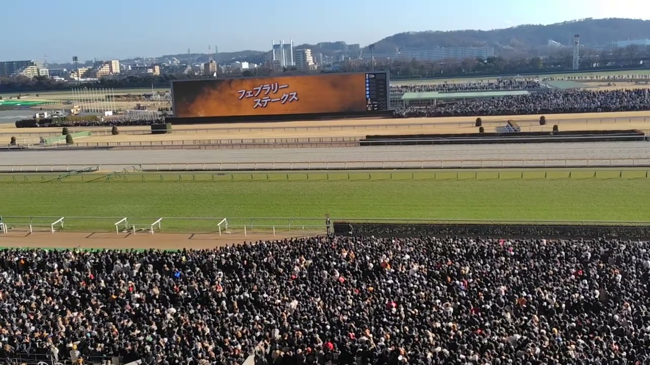 ２０２６フェブラリーステークスあおりＶからファンファーレ