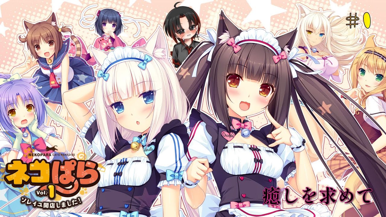 【ネコぱらVol.1】疲れた日常を脱却し癒しを求めに