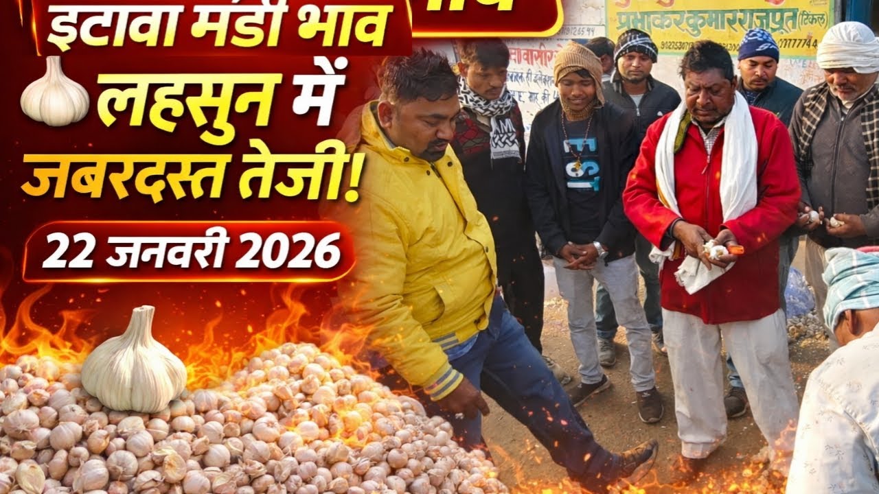 इटावा मंडी भाव 🧄 | लहसुन में ज़बरदस्त तेजी 🔥 | 22 जनवरी 2026