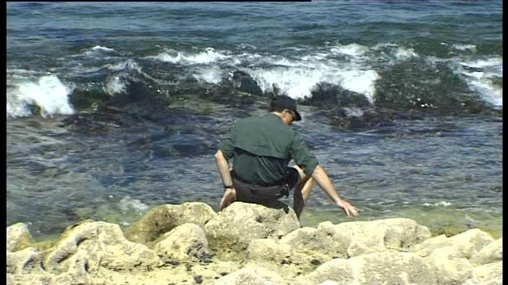 Lagoa de Albufeira - Cabo Espichel, 2003